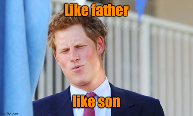 Prince harry | Like father like son | image tagged in prince harry | made w/ Imgflip meme maker