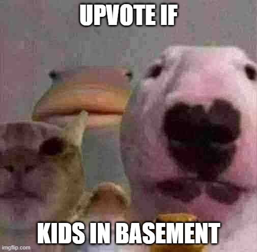 ǎ | UPVOTE IF; KIDS IN BASEMENT | image tagged in the council,random mem,msmg,ugly meme | made w/ Imgflip meme maker