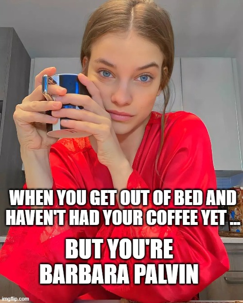 when you haven't had your coffee yet, but you're Barbara Palvin | WHEN YOU GET OUT OF BED AND HAVEN'T HAD YOUR COFFEE YET ... BUT YOU'RE BARBARA PALVIN | image tagged in barbara palvin,coffee,morning,getting out of bed | made w/ Imgflip meme maker