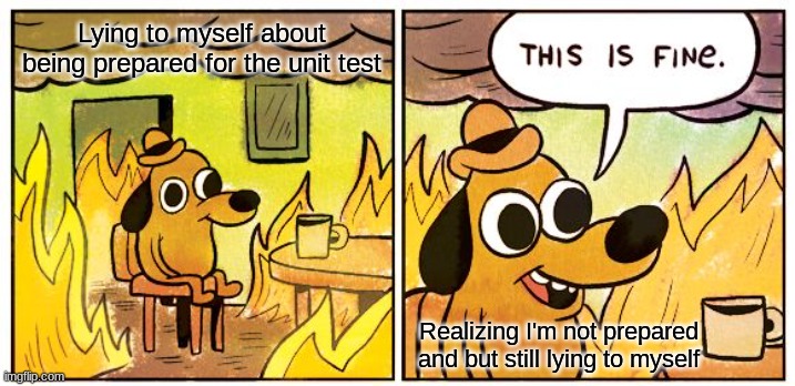 This Is Fine | Lying to myself about being prepared for the unit test; Realizing I'm not prepared and but still lying to myself | image tagged in memes,this is fine | made w/ Imgflip meme maker