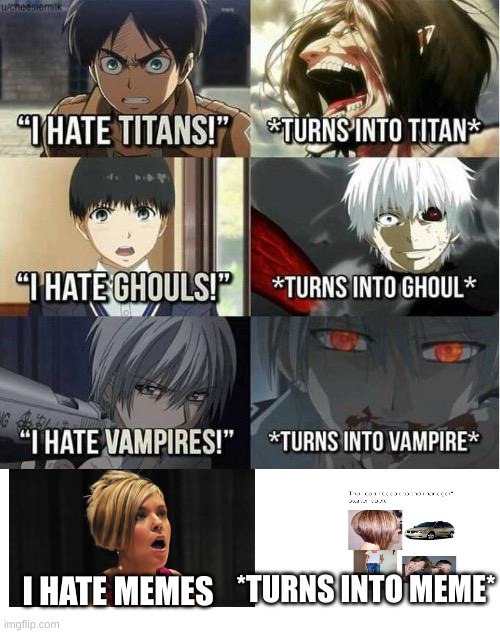 welcome to the internet karen | *TURNS INTO MEME*; I HATE MEMES | image tagged in i hate titans turns into titan | made w/ Imgflip meme maker