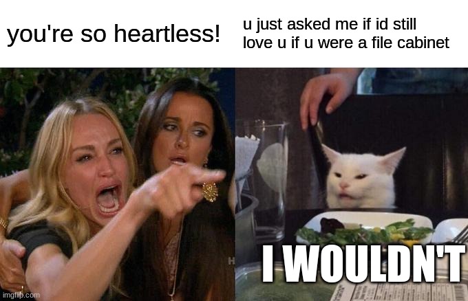 what tf are we expected to say??? | you're so heartless! u just asked me if id still love u if u were a file cabinet; I WOULDN'T | image tagged in memes,woman yelling at cat | made w/ Imgflip meme maker