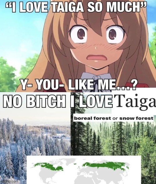 IT LOOKS SO PRETTY! (and the girls fine ig) | made w/ Imgflip meme maker