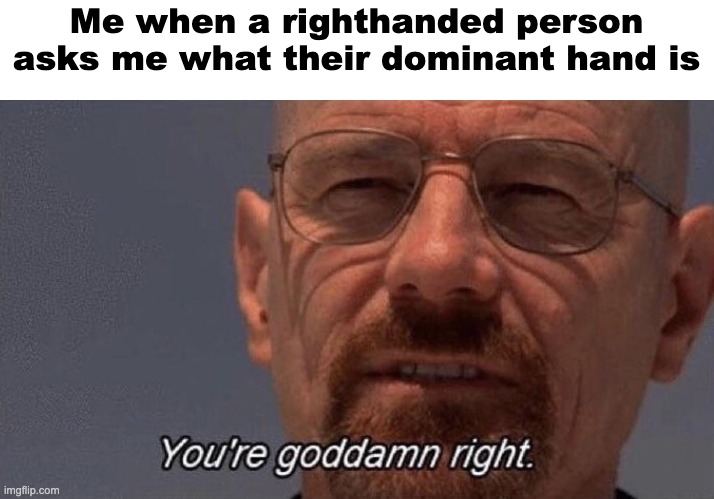 anti-meme #1 (i dont care about grammar because its a meme plus breaking bad) | Me when a righthanded person asks me what their dominant hand is | image tagged in you're goddang right | made w/ Imgflip meme maker