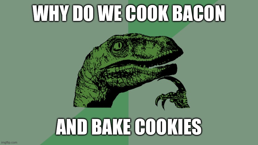 Philosophy Dinosaur | WHY DO WE COOK BACON; AND BAKE COOKIES | image tagged in philosophy dinosaur | made w/ Imgflip meme maker