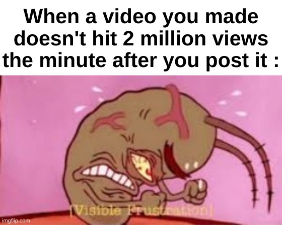 But why do we even expect it to blow up anyway | When a video you made doesn't hit 2 million views the minute after you post it : | image tagged in memes,funny,relatable,videos,blow up,front page plz | made w/ Imgflip meme maker