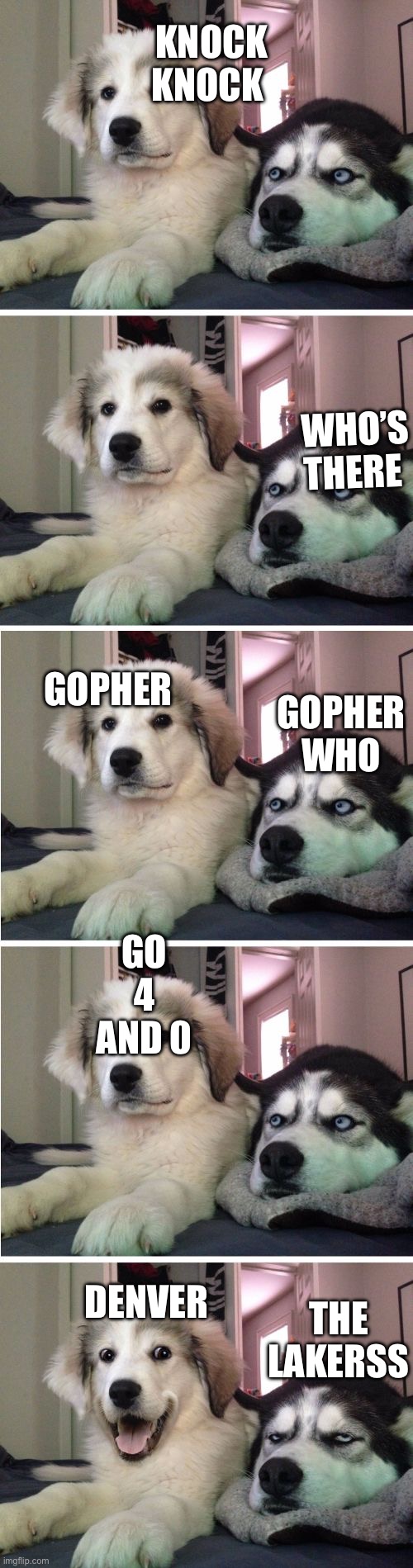 4-0 | KNOCK KNOCK; WHO’S THERE; GOPHER; GO 4 AND 0; GOPHER WHO; DENVER; THE LAKERSS | image tagged in knock knock dogs | made w/ Imgflip meme maker