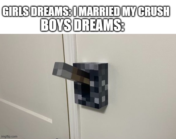 *hallucinates | GIRLS DREAMS: I MARRIED MY CRUSH; BOYS DREAMS: | image tagged in blank white template | made w/ Imgflip meme maker