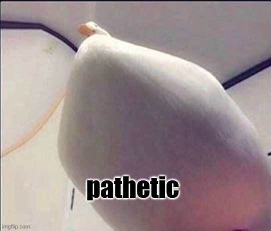 thicc ducc | pathetic | image tagged in thicc ducc | made w/ Imgflip meme maker