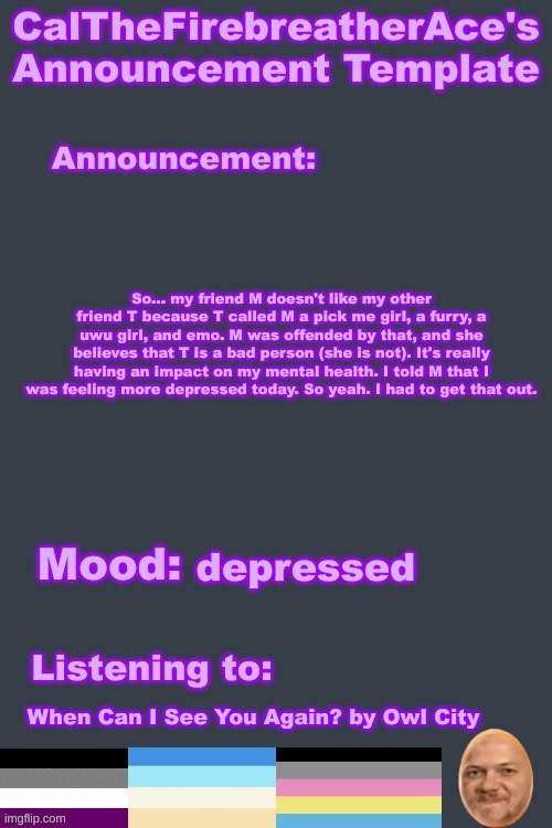 :( | So... my friend M doesn't like my other friend T because T called M a pick me girl, a furry, a uwu girl, and emo. M was offended by that, and she believes that T is a bad person (she is not). It's really having an impact on my mental health. I told M that I was feeling more depressed today. So yeah. I had to get that out. depressed; When Can I See You Again? by Owl City | image tagged in calthefirebreatherace's lgbtq announcement temp | made w/ Imgflip meme maker