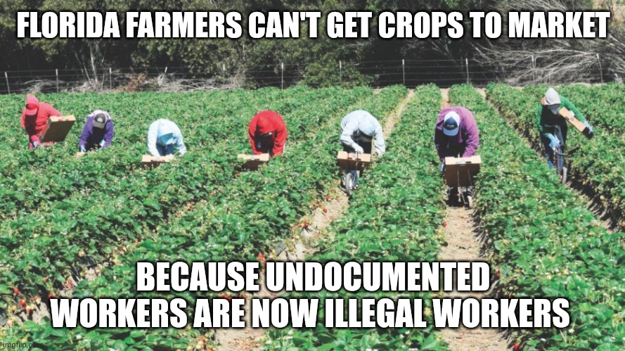 Migrant Workers | FLORIDA FARMERS CAN'T GET CROPS TO MARKET BECAUSE UNDOCUMENTED WORKERS ARE NOW ILLEGAL WORKERS | image tagged in migrant workers | made w/ Imgflip meme maker