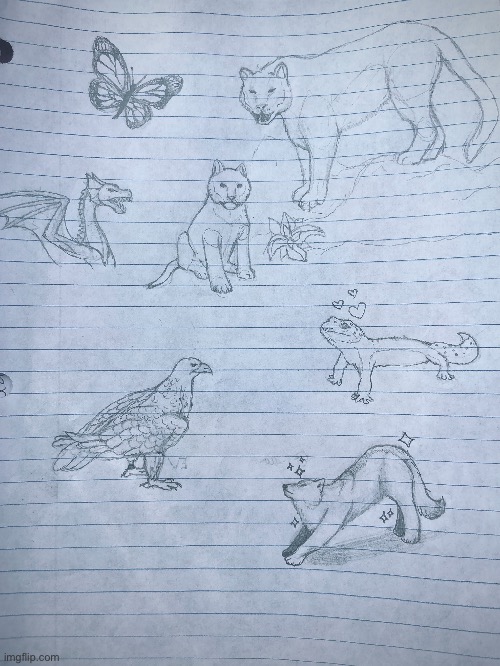 I made these during class they were animals I saw in my PACE (not the dragon) | image tagged in sketch,animals,yes | made w/ Imgflip meme maker