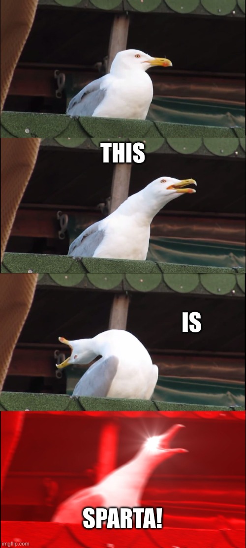 THIS IS SPARTA! | image tagged in memes,inhaling seagull | made w/ Imgflip meme maker