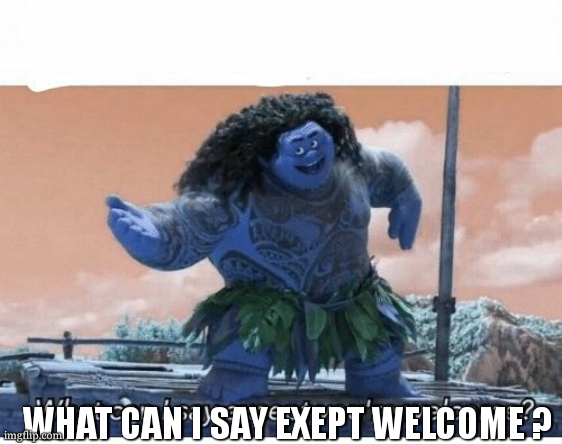 What can I say except you're welcome? | WHAT CAN I SAY EXEPT WELCOME ? | image tagged in what can i say except you're welcome | made w/ Imgflip meme maker