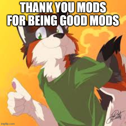 danke | THANK YOU MODS FOR BEING GOOD MODS | image tagged in furry thumbs up | made w/ Imgflip meme maker