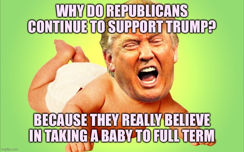 Baby Trump | WHY DO REPUBLICANS CONTINUE TO SUPPORT TRUMP? BECAUSE THEY REALLY BELIEVE IN TAKING A BABY TO FULL TERM | image tagged in baby trump,memes | made w/ Imgflip meme maker