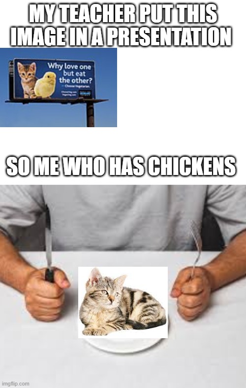 MY TEACHER PUT THIS IMAGE IN A PRESENTATION; SO ME WHO HAS CHICKENS | made w/ Imgflip meme maker