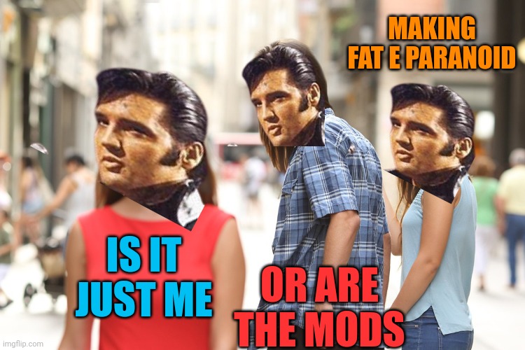 IS IT JUST ME OR ARE THE MODS MAKING
 FAT E PARANOID | image tagged in distracted boyfriend paranoia | made w/ Imgflip meme maker