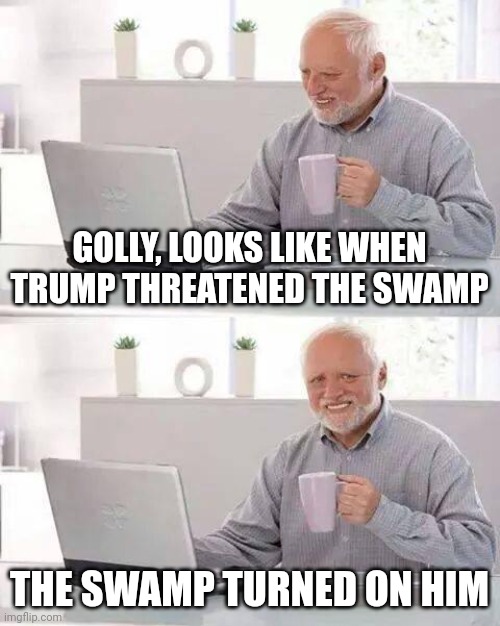 If you don't get it by now.... | GOLLY, LOOKS LIKE WHEN TRUMP THREATENED THE SWAMP; THE SWAMP TURNED ON HIM | image tagged in memes,hide the pain harold,drain the swamp,donald trump,why is the fbi here | made w/ Imgflip meme maker