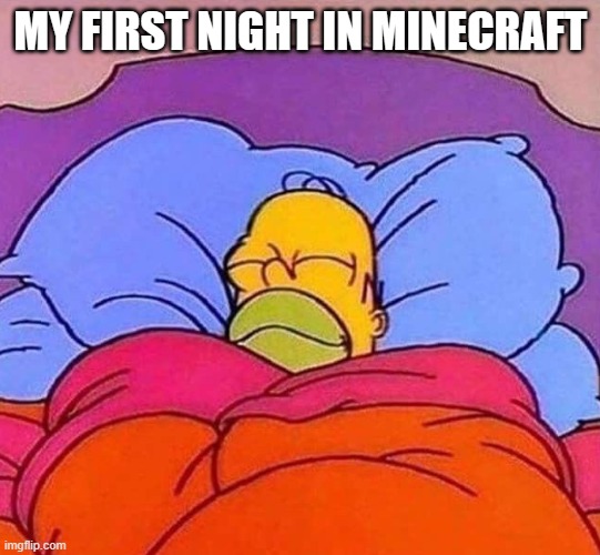 Homer Simpson sleeping peacefully | MY FIRST NIGHT IN MINECRAFT | image tagged in homer simpson sleeping peacefully | made w/ Imgflip meme maker