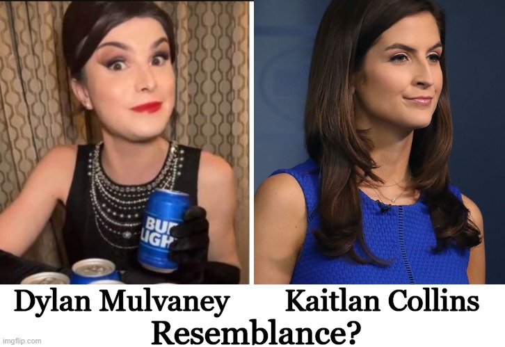 Anyone else see a similarity in the Bud Light 'girl' and CNN ball-busting anchor? | Dylan Mulvaney; Kaitlan Collins; Resemblance? | image tagged in politics,bud light,cnn,sjws,triggered,news anchor | made w/ Imgflip meme maker
