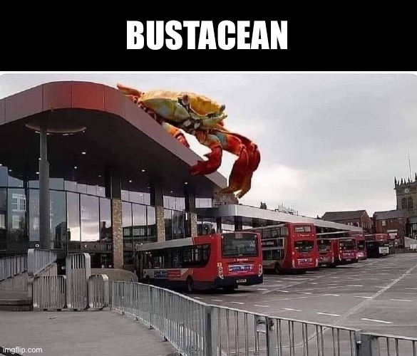 Bus pun | BUSTACEAN | image tagged in bad pun,puns,dad joke,crab,bus | made w/ Imgflip meme maker