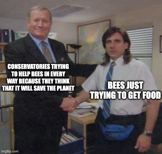 Bees just trying to live a life | CONSERVATORIES TRYING TO HELP BEES IN EVERY WAY BECAUSE THEY THINK THAT IT WILL SAVE THE PLANET; BEES JUST TRYING TO GET FOOD | image tagged in the office congratulations | made w/ Imgflip meme maker