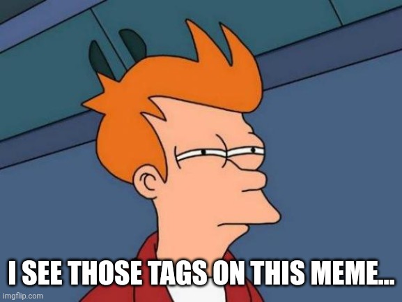 Futurama Fry Meme | I SEE THOSE TAGS ON THIS MEME... | image tagged in memes,futurama fry | made w/ Imgflip meme maker