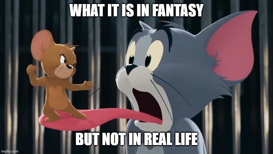 WHAT IT IS IN FANTASY; BUT NOT IN REAL LIFE | image tagged in meme,tom and jerry,custom template | made w/ Imgflip meme maker