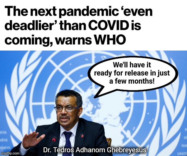 The villains irl | We'll have it
ready for release in just
a few months! Dr. Tedros Adhanom Ghebreyesus | image tagged in memes,pandemic,world health organization,covid-19,villains,leftists | made w/ Imgflip meme maker