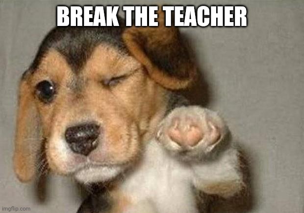 Winking Dog | BREAK THE TEACHER | image tagged in winking dog | made w/ Imgflip meme maker