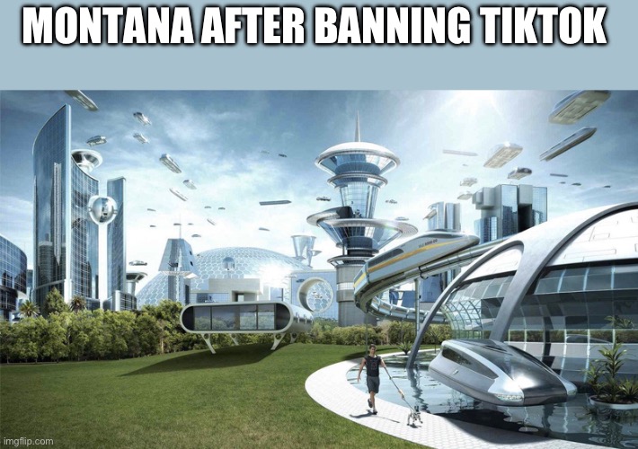 Bro they actually did it no cap | MONTANA AFTER BANNING TIKTOK | image tagged in the future world if | made w/ Imgflip meme maker