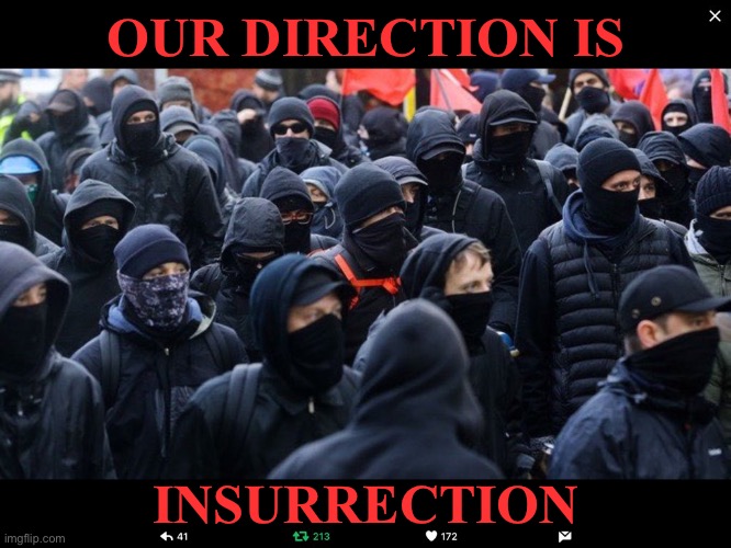 Insurrection | OUR DIRECTION IS; INSURRECTION | image tagged in antifa | made w/ Imgflip meme maker