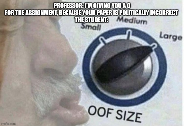 Political correction going out of hand | PROFESSOR: I'M GIVING YOU A 0 FOR THE ASSIGNMENT, BECAUSE YOUR PAPER IS POLITICALLY INCORRECT 
THE STUDENT: | image tagged in oof size large,politically incorrect | made w/ Imgflip meme maker