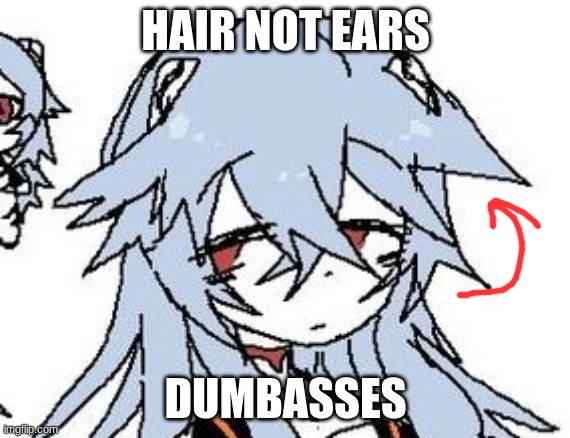 HAIR NOT EARS; DUMBASSES | made w/ Imgflip meme maker