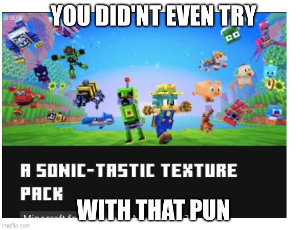 gags | YOU DID'NT EVEN TRY; WITH THAT PUN | image tagged in sonic the hedgehog | made w/ Imgflip meme maker