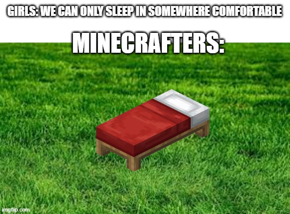 who doesn't do this | GIRLS: WE CAN ONLY SLEEP IN SOMEWHERE COMFORTABLE; MINECRAFTERS: | image tagged in touching grass,memes | made w/ Imgflip meme maker