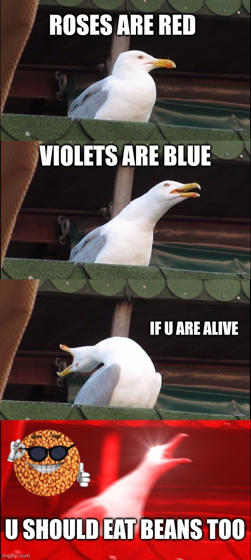 Inhaling Seagull | ROSES ARE RED; VIOLETS ARE BLUE; IF U ARE ALIVE; U SHOULD EAT BEANS TOO | image tagged in memes,inhaling seagull | made w/ Imgflip meme maker