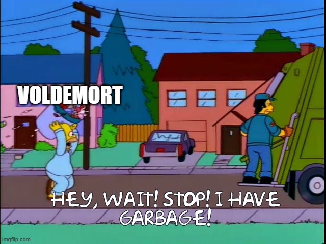 Hey wait stop i have garbage | VOLDEMORT | image tagged in hey wait stop i have garbage | made w/ Imgflip meme maker