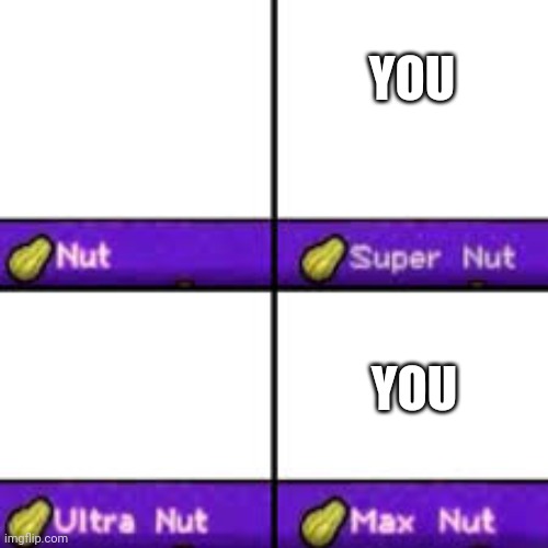 Max Nut | YOU YOU | image tagged in max nut | made w/ Imgflip meme maker