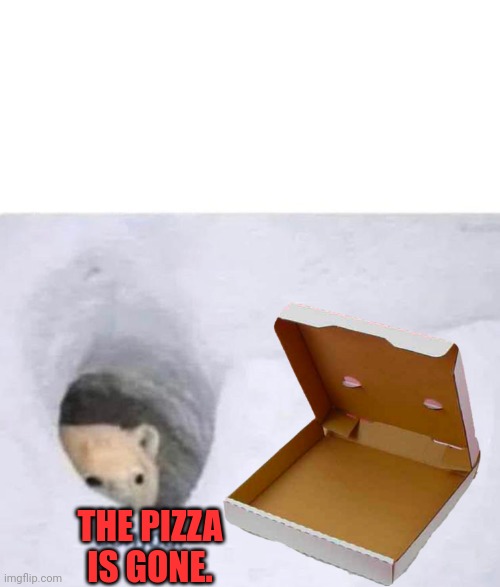 Bonjour | THE PIZZA IS GONE. | image tagged in bonjour | made w/ Imgflip meme maker