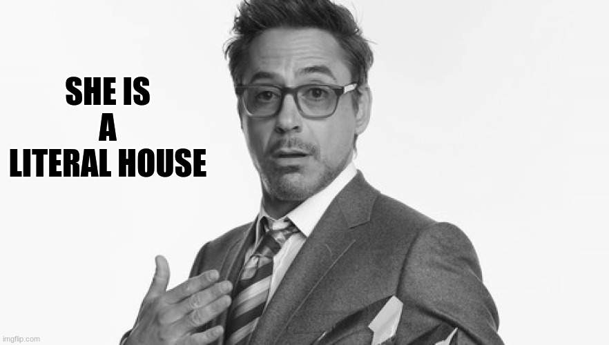I'm Stuff | SHE IS A LITERAL HOUSE | image tagged in i'm stuff | made w/ Imgflip meme maker