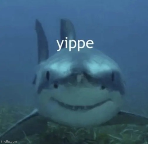 yippe | image tagged in yippe | made w/ Imgflip meme maker