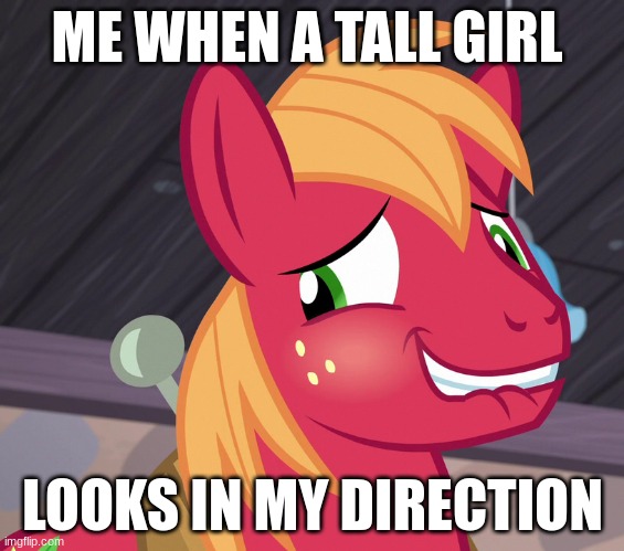 tomboys be like | ME WHEN A TALL GIRL; LOOKS IN MY DIRECTION | image tagged in blushed big macintosh mlp | made w/ Imgflip meme maker