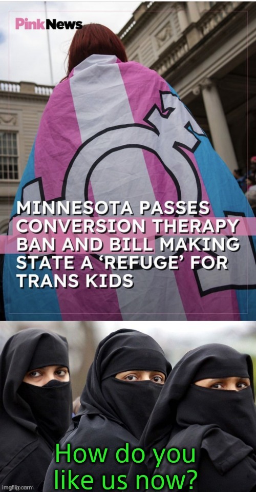 When your agenda bites you in the ass. Great work, Barry from Kenya. | image tagged in minnesota,muslims,anti groomer,scumbag democrats,barry from kenya | made w/ Imgflip meme maker