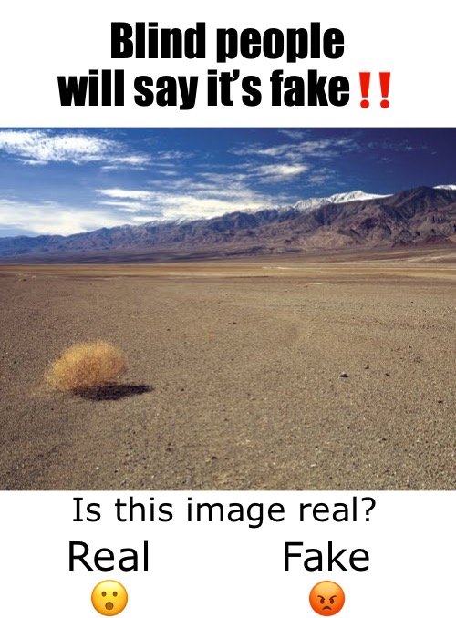 Iran out of ideas | Blind people will say it’s fake‼️; Is this image real? Real
😮; Fake
😡 | image tagged in desert tumbleweed | made w/ Imgflip meme maker