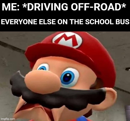 The Wheels On The Bus Go... | ME: *DRIVING OFF-ROAD*; EVERYONE ELSE ON THE SCHOOL BUS | image tagged in mario wtf,wtf,school,dark humor | made w/ Imgflip meme maker