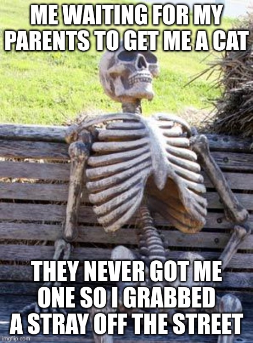 WAITING FOR A CAT(This did not actually happen) | ME WAITING FOR MY PARENTS TO GET ME A CAT; THEY NEVER GOT ME ONE SO I GRABBED A STRAY OFF THE STREET | image tagged in memes,waiting skeleton | made w/ Imgflip meme maker