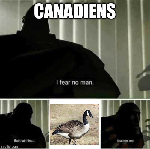 It scares me | CANADIENS | image tagged in i fear no man | made w/ Imgflip meme maker