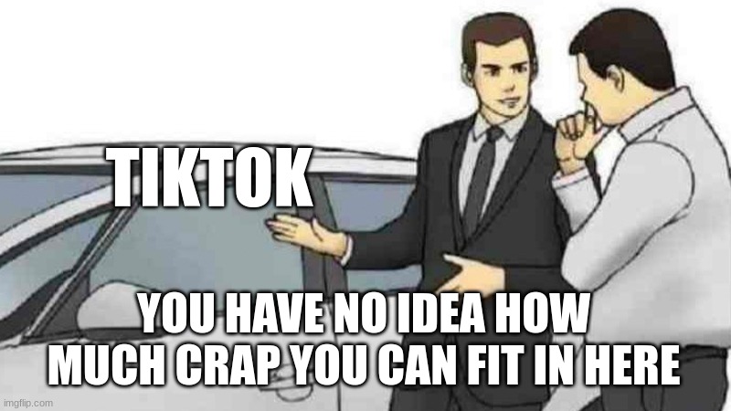 Car Salesman Slaps Roof Of Car | TIKTOK; YOU HAVE NO IDEA HOW MUCH CRAP YOU CAN FIT IN HERE | image tagged in memes,car salesman slaps roof of car | made w/ Imgflip meme maker